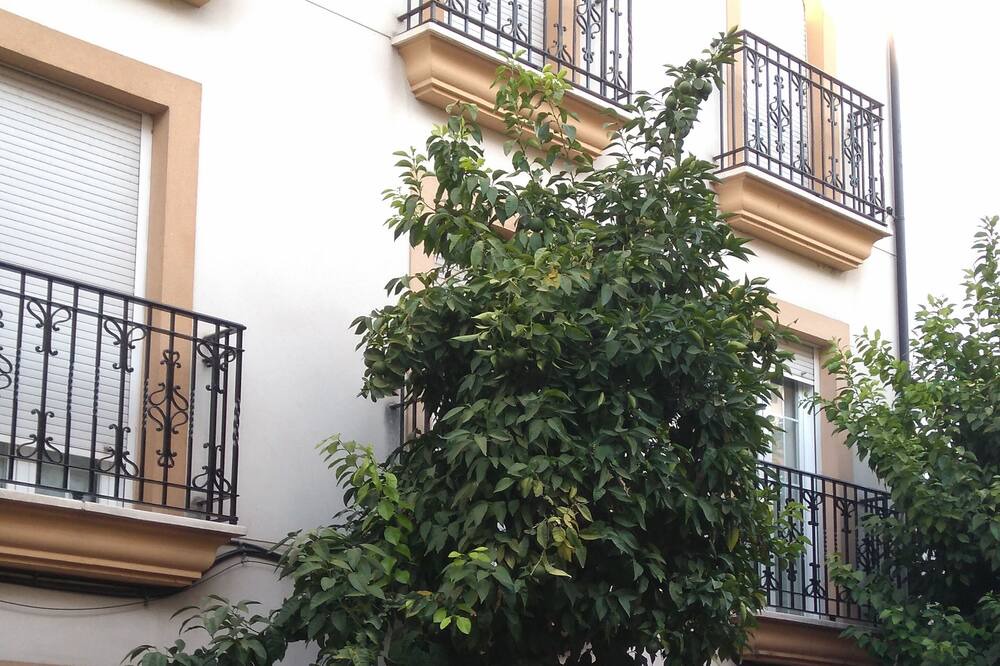 Photo of Outdoor in San Francisco-Ribera