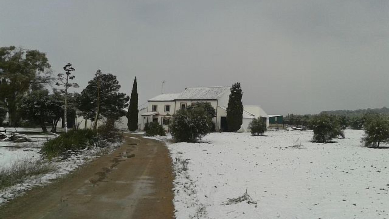 Photo of Outdoor in Antequera
