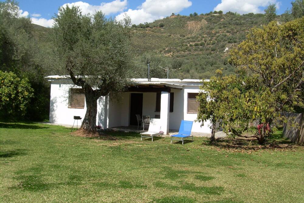 Photo of Others in Orgiva