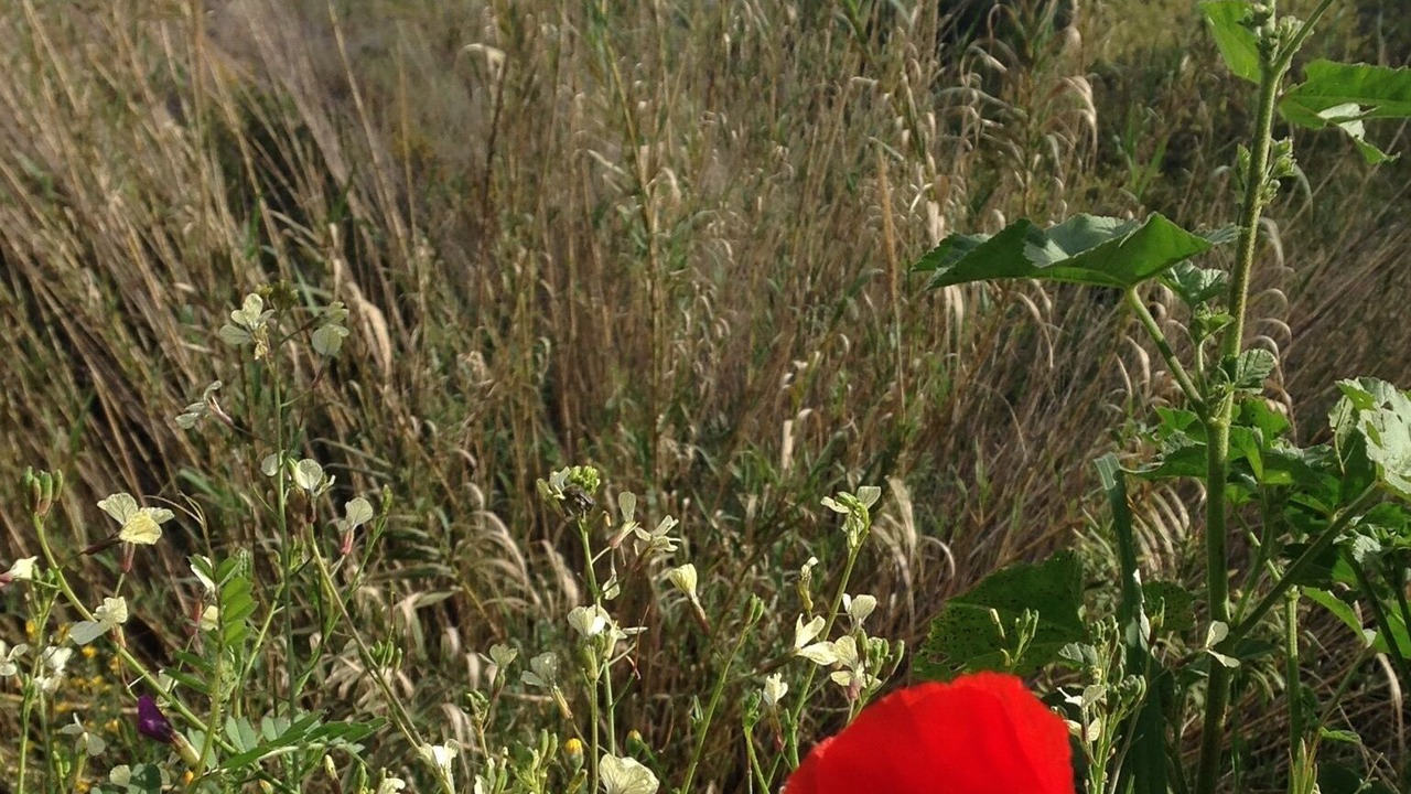 Photo of Outdoor in Monda