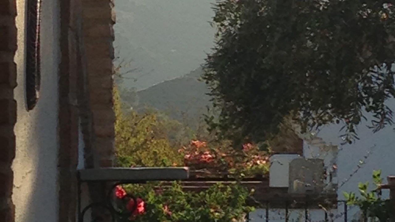 Photo of Outdoor in Monda
