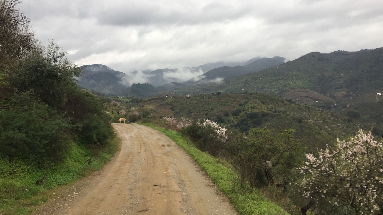 Photo of Outdoor in Monda