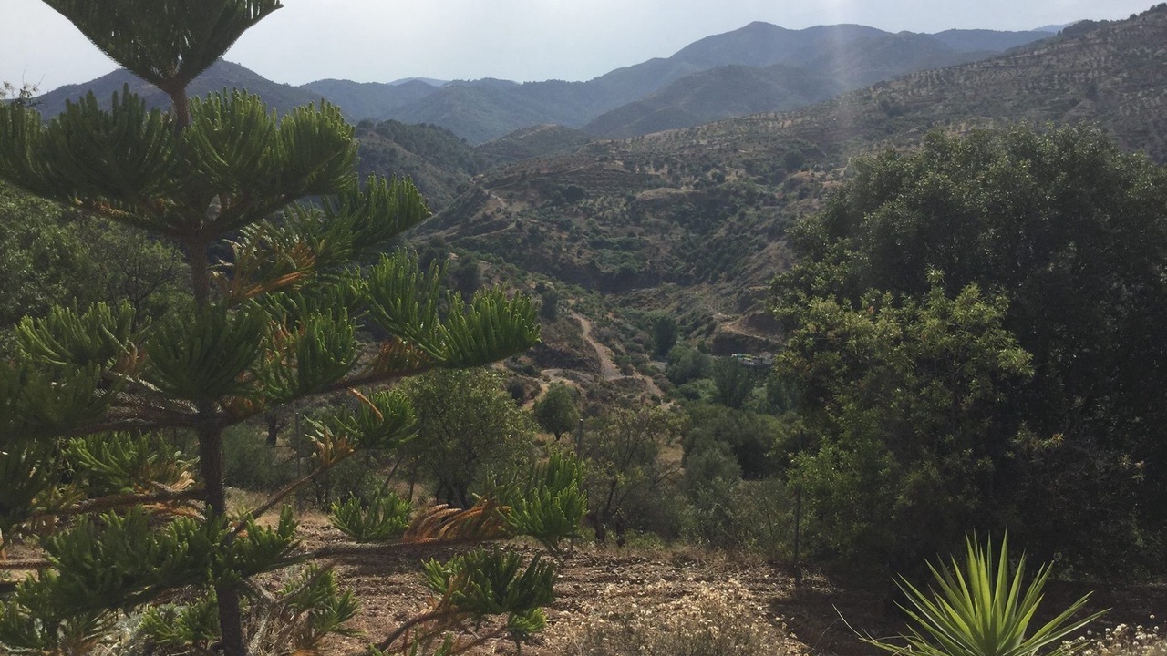 Photo of Outdoor in Monda