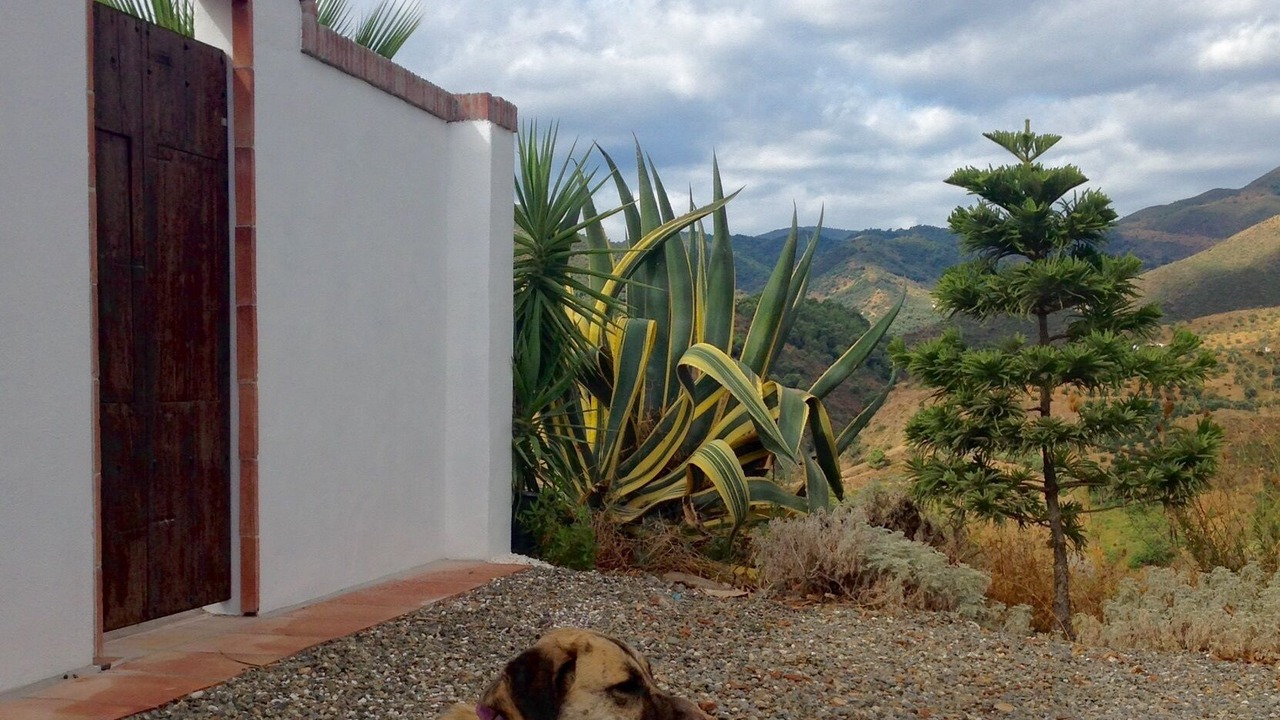 Photo of Outdoor in Monda