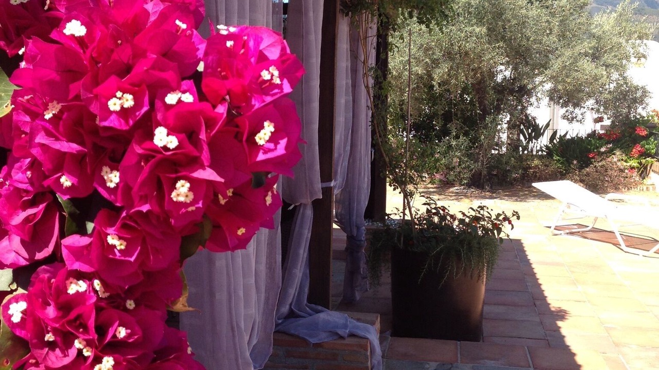 Photo of Outdoor in Monda