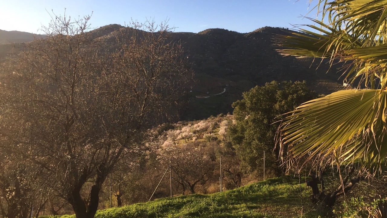 Photo of Outdoor in Monda