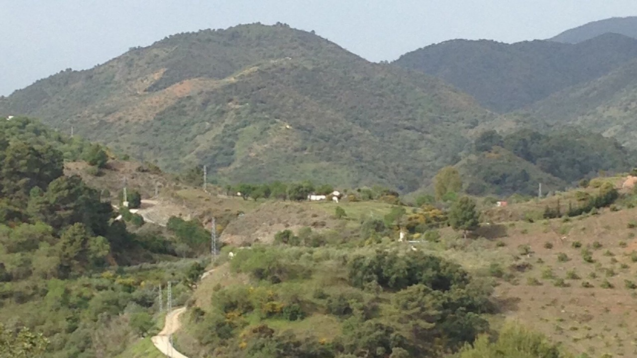 Photo of Others in Monda