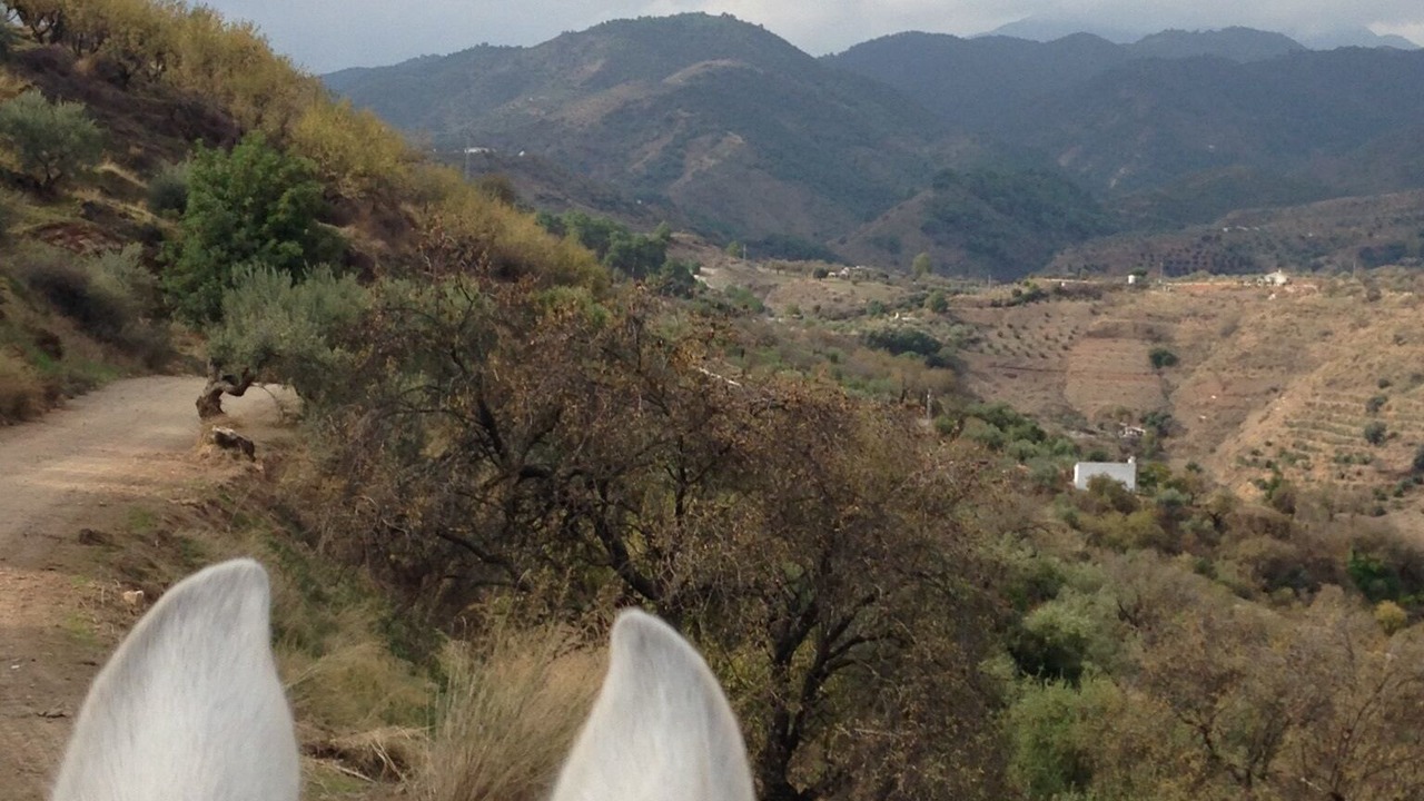 Photo of Outdoor in Monda