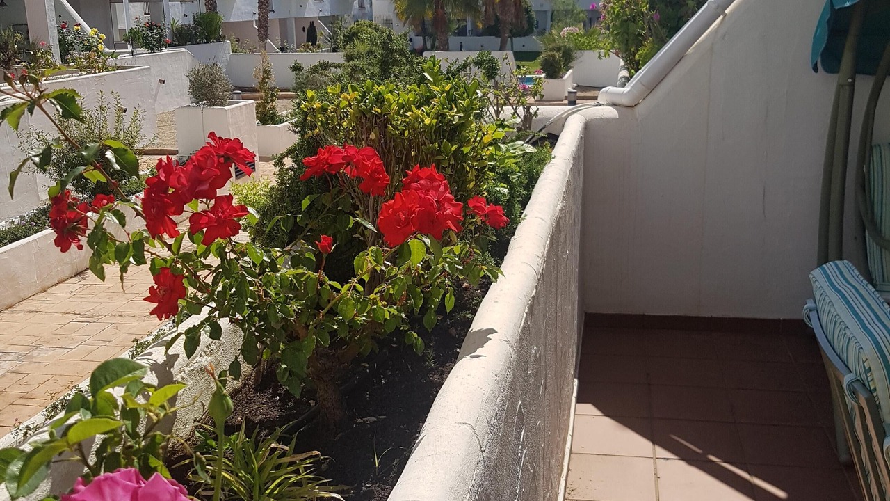 Photo of Outdoor in Isla Cristina