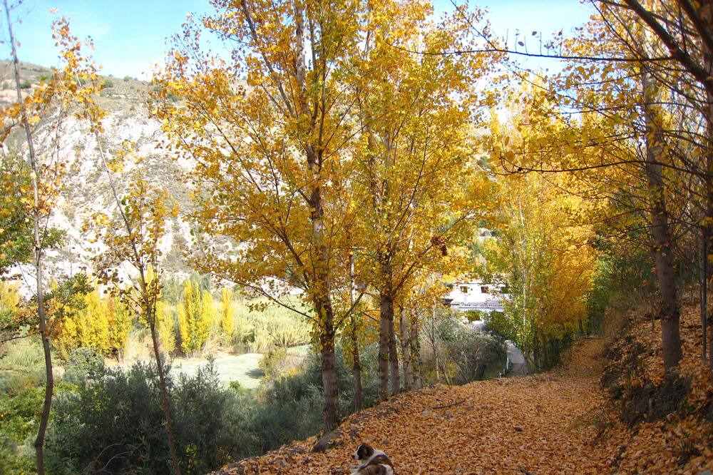 Photo of Outdoor in Torviscon