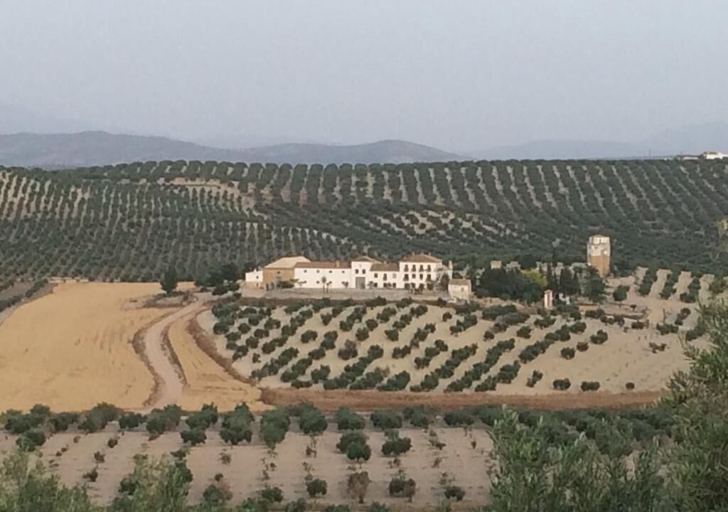 Photo of Outdoor in Arjona