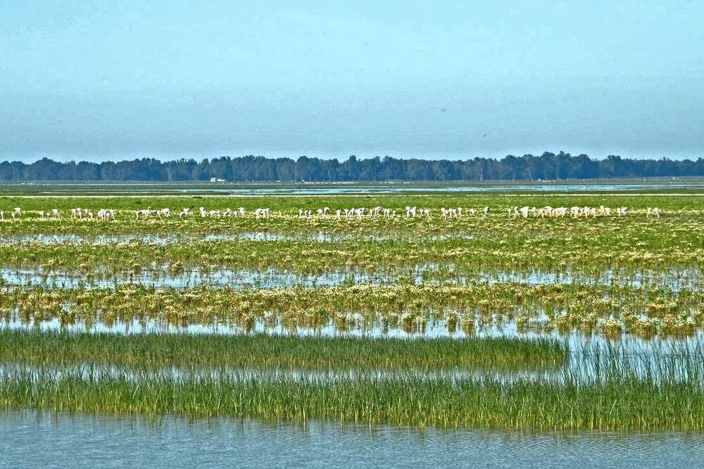 Photo of Outdoor in Sector P - Palmito