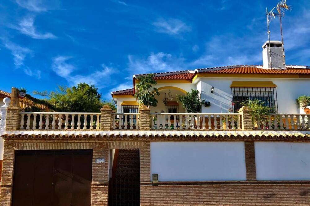 Photo of Outdoor in Sector P - Palmito