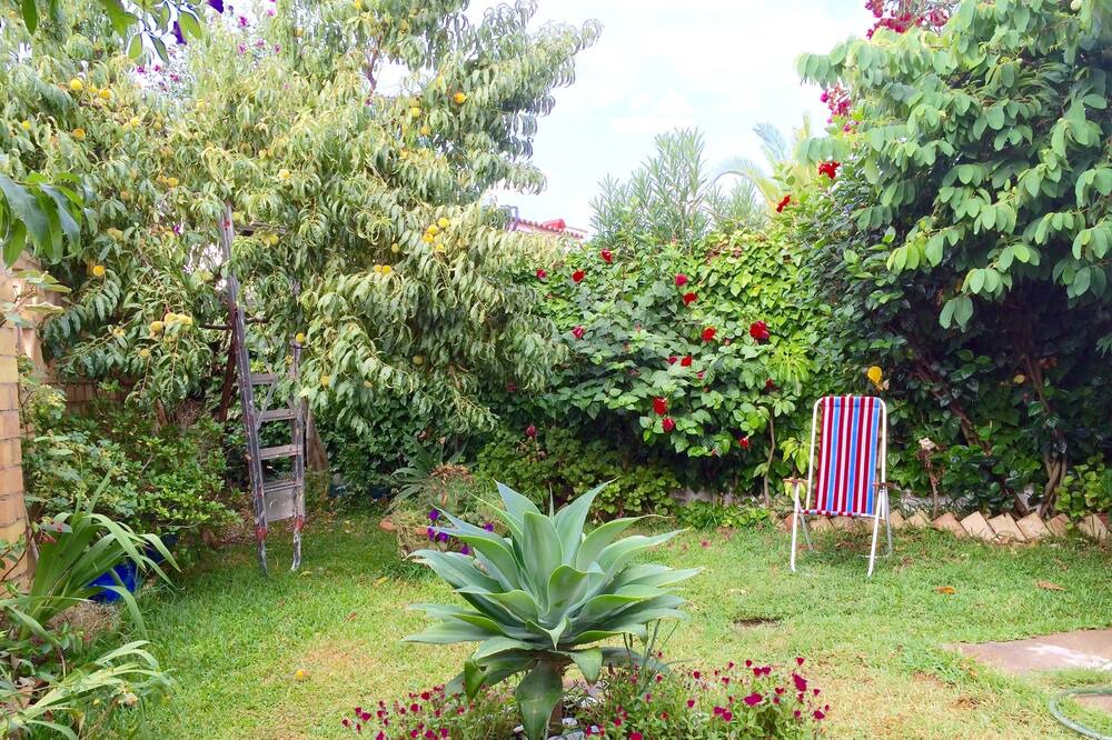 Photo of Outdoor in Sector P - Palmito