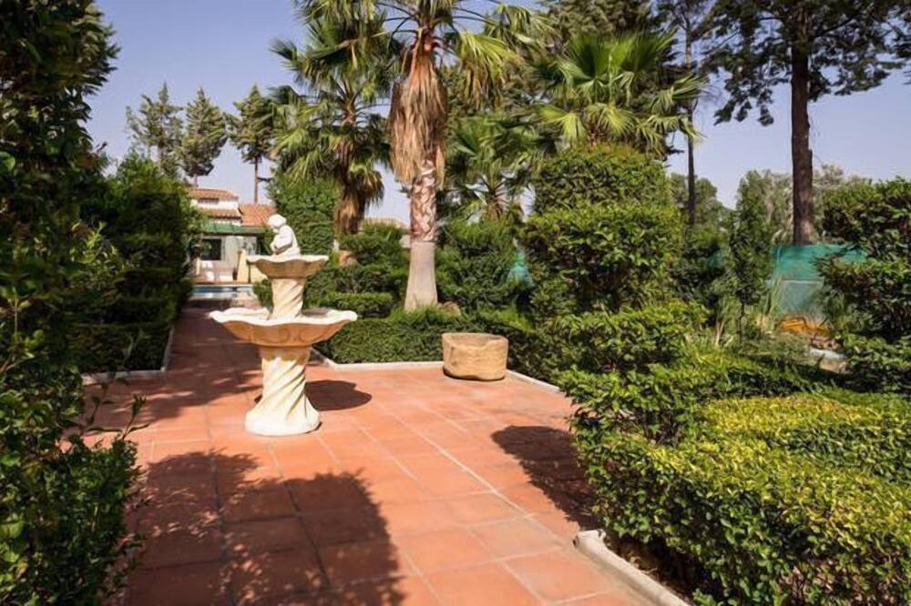 Photo of Outdoor in Antequera