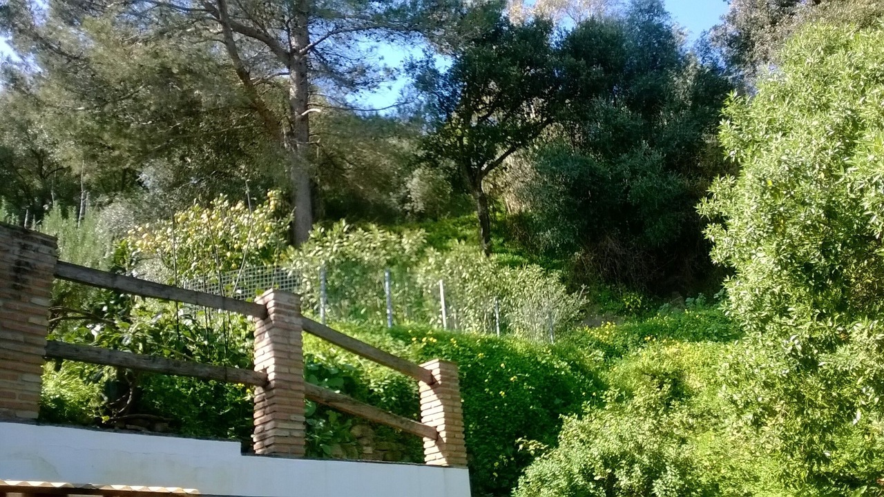 Photo of Outdoor in Jimena de la Frontera