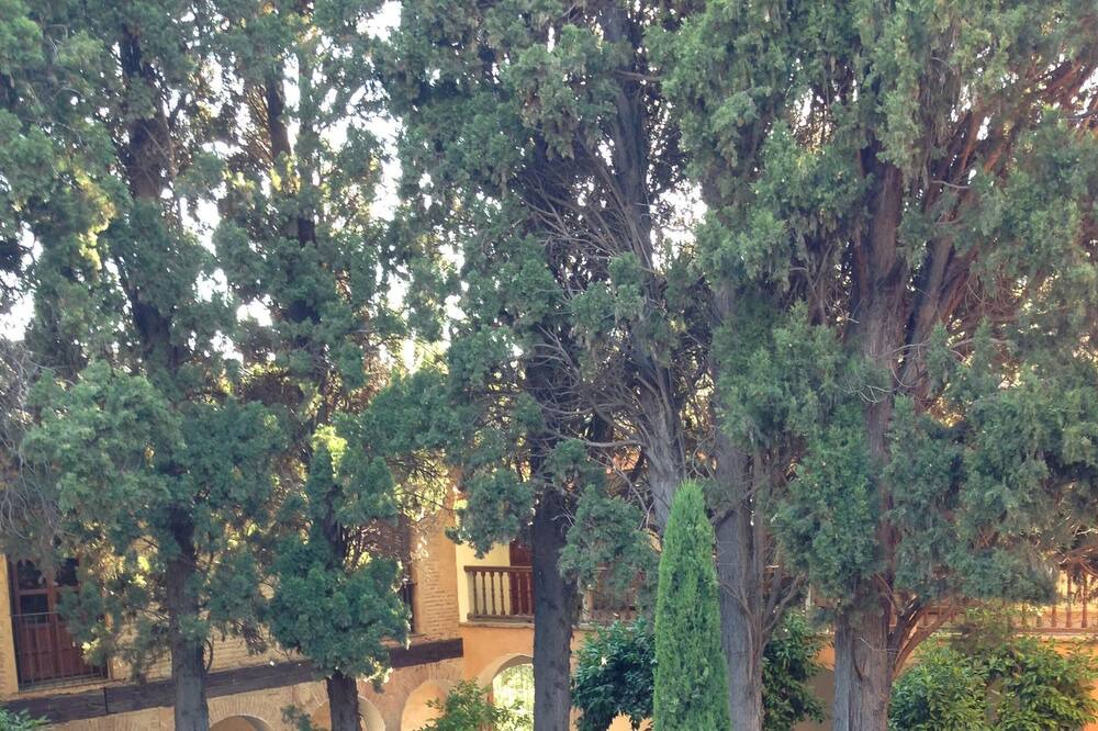 Photo of Outdoor in Dilar
