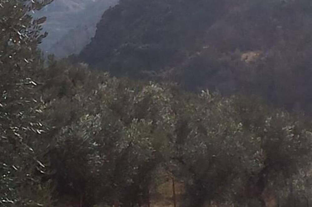 Photo of Others in Guejar Sierra