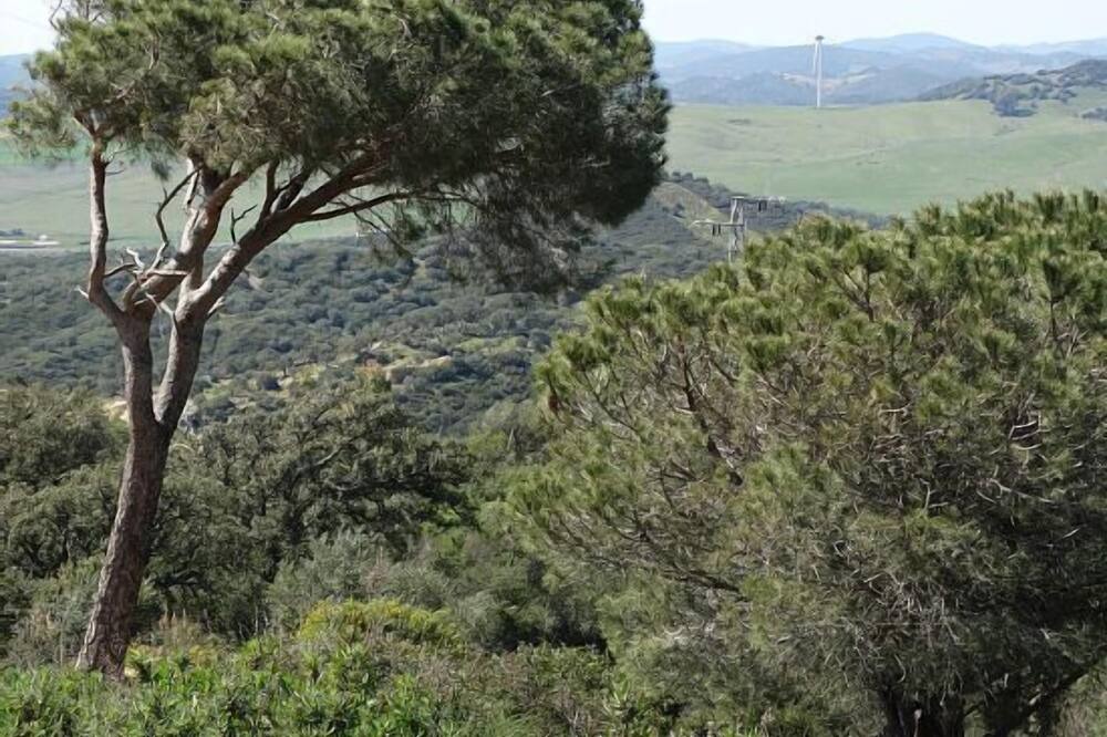 Photo of Outdoor in Alcala de los Gazules