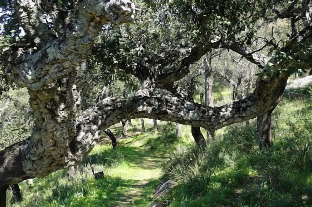 Photo of Outdoor in Alcala de los Gazules