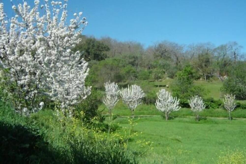 Photo of Outdoor in Aracena