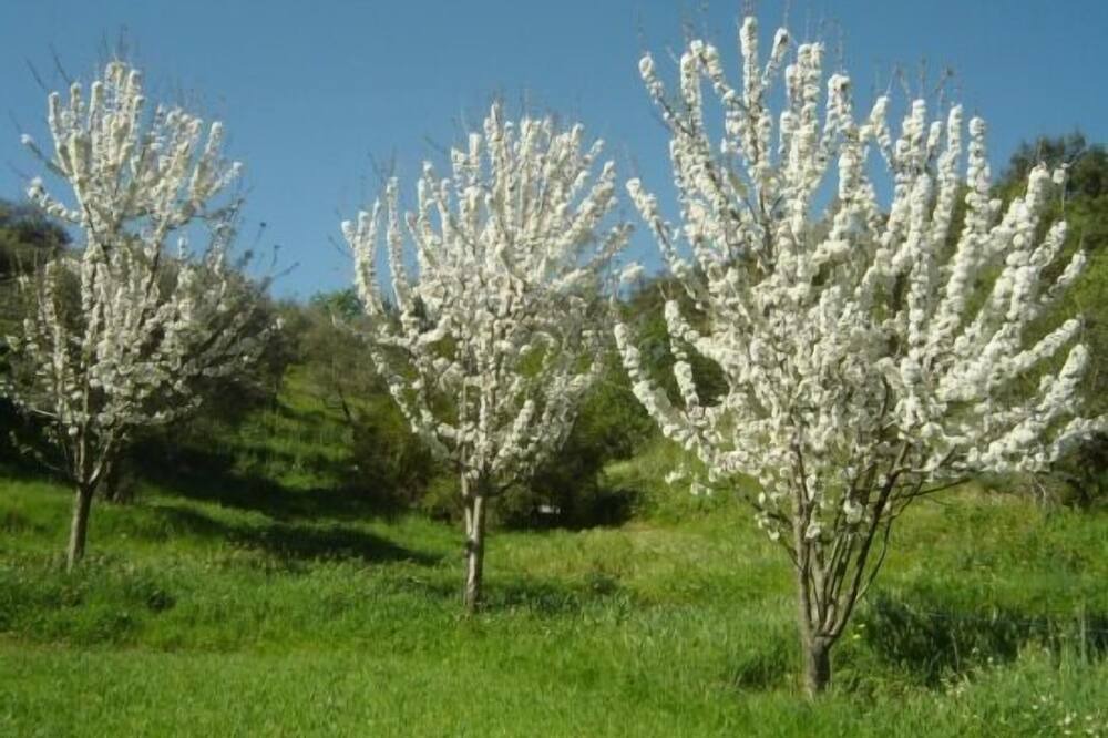 Photo of Outdoor in Aracena