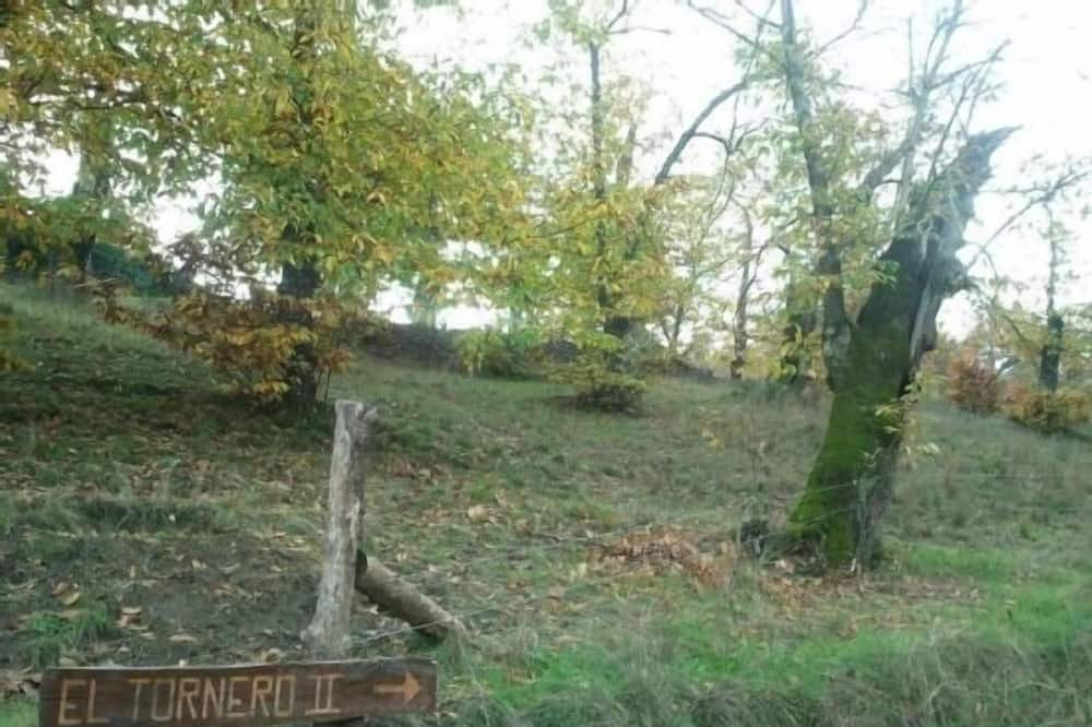 Photo of Outdoor in Aracena