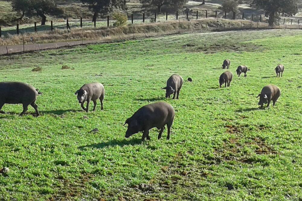 Photo of Outdoor in Aracena