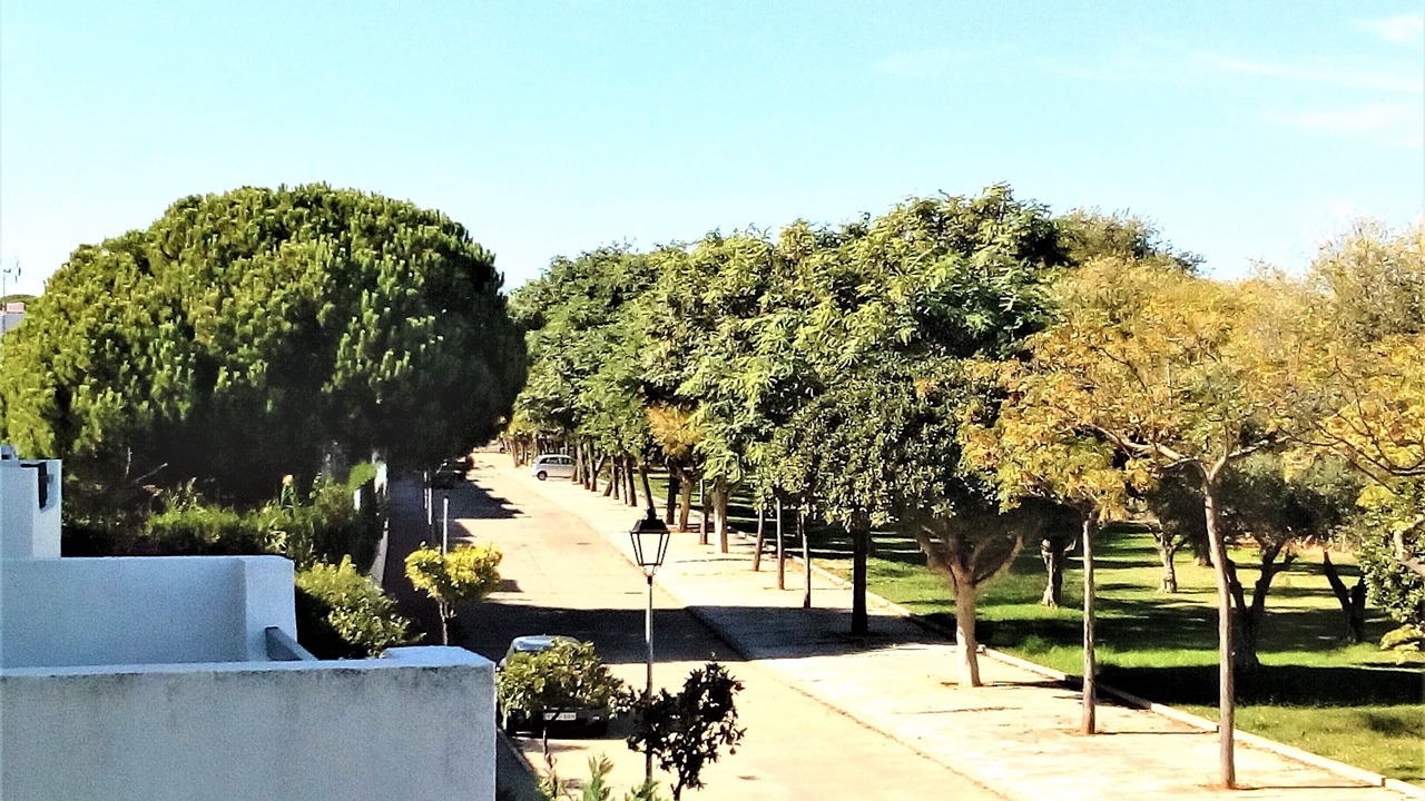 Photo of Outdoor in Islantilla