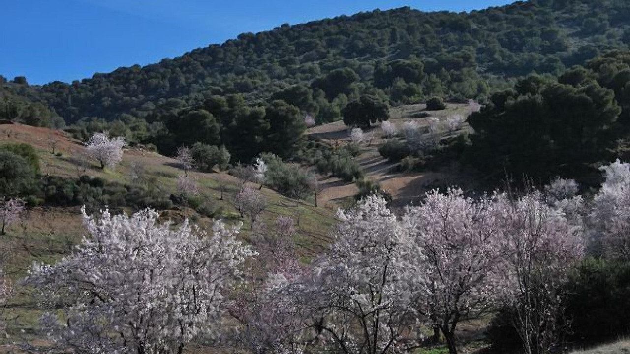 Photo of Outdoor in Aulabar