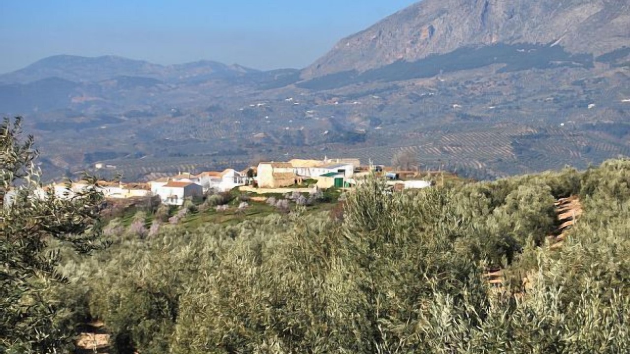 Photo of Outdoor in Aulabar