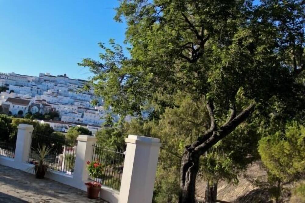 Photo of Outdoor in Alcala de los Gazules