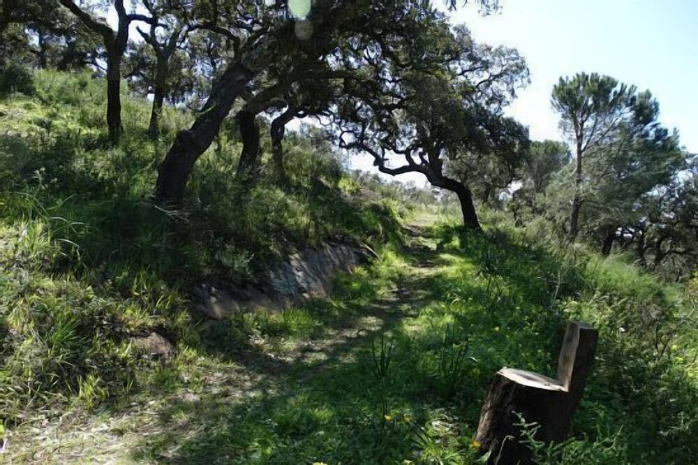 Photo of Outdoor in Alcala de los Gazules
