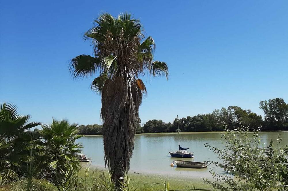 Photo of Others in Coria del Rio