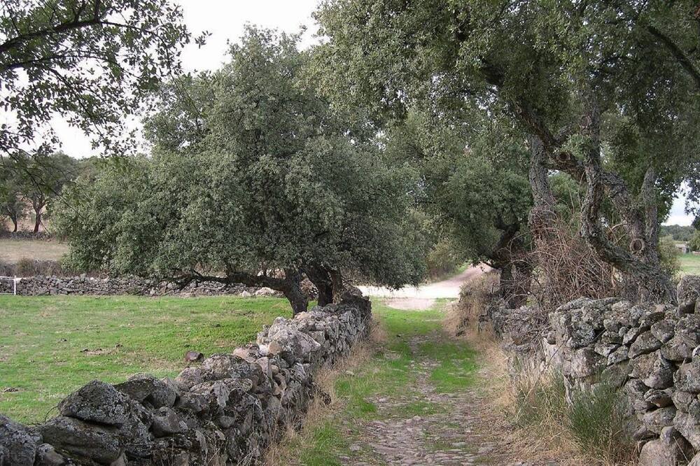 Photo of Outdoor in Montanchez