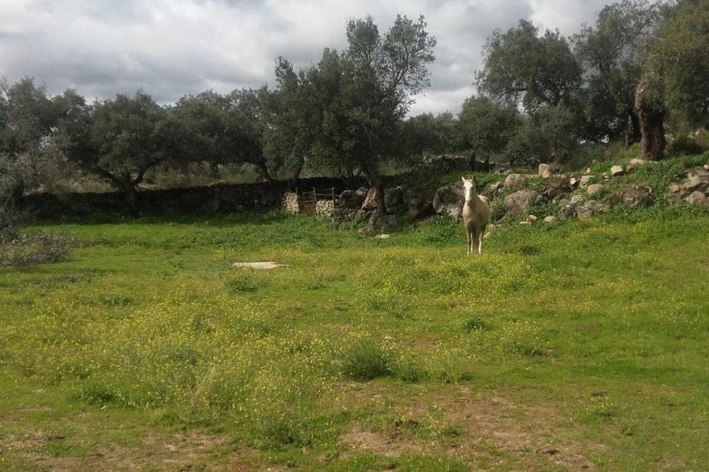 Photo of Outdoor in Montanchez