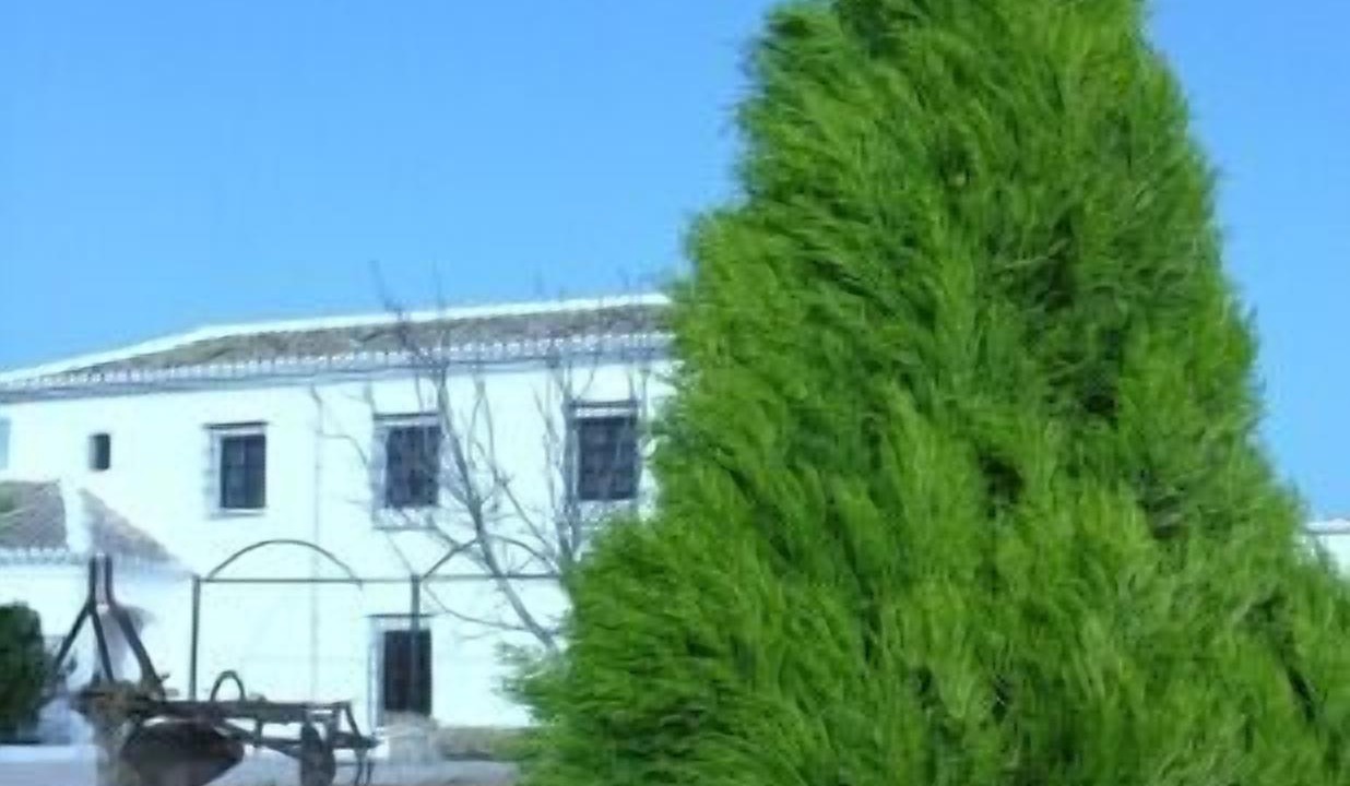 Photo of Outdoor in Antequera