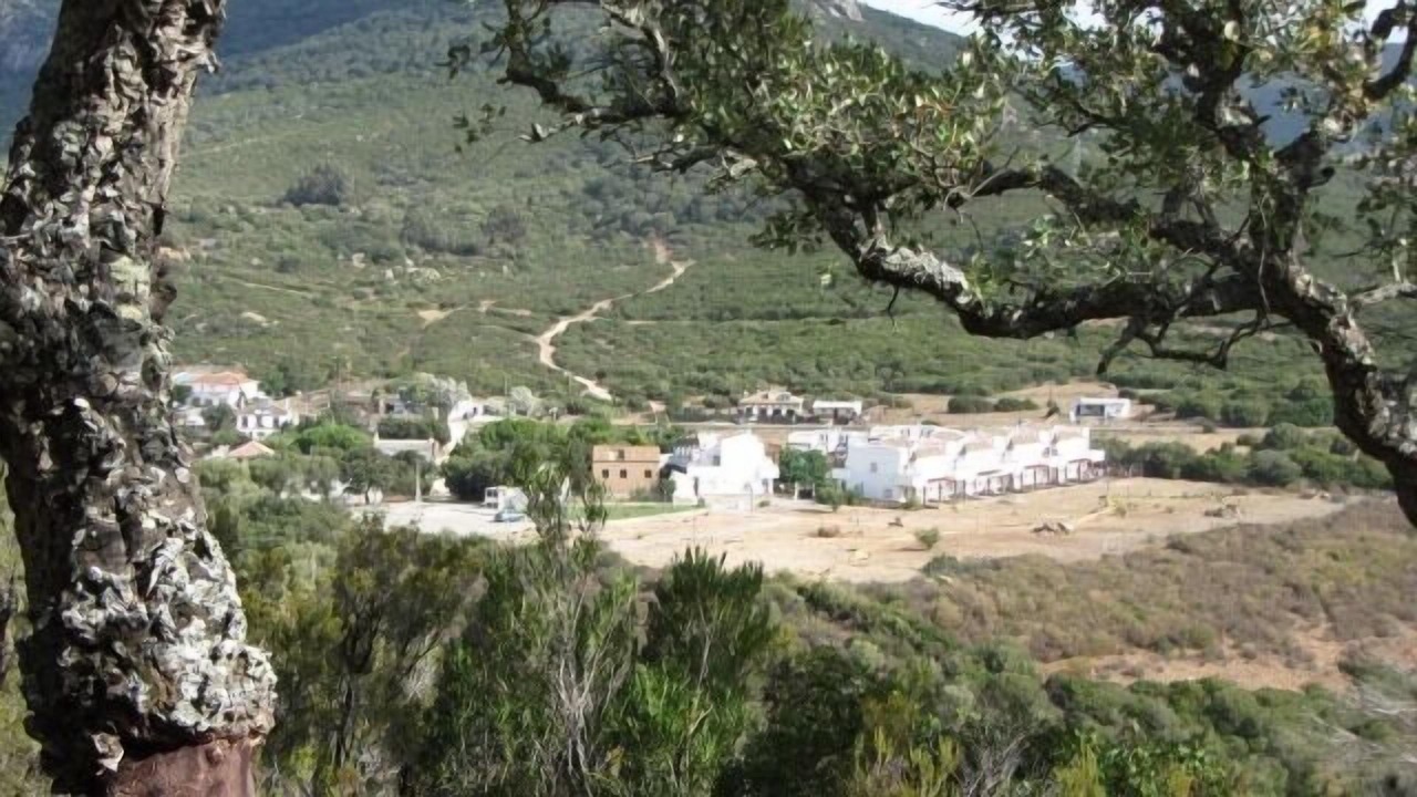 Photo of Outdoor in Benalup-Casas Vieja