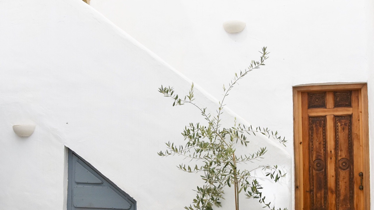 Photo of Patio Balcony in Espejo