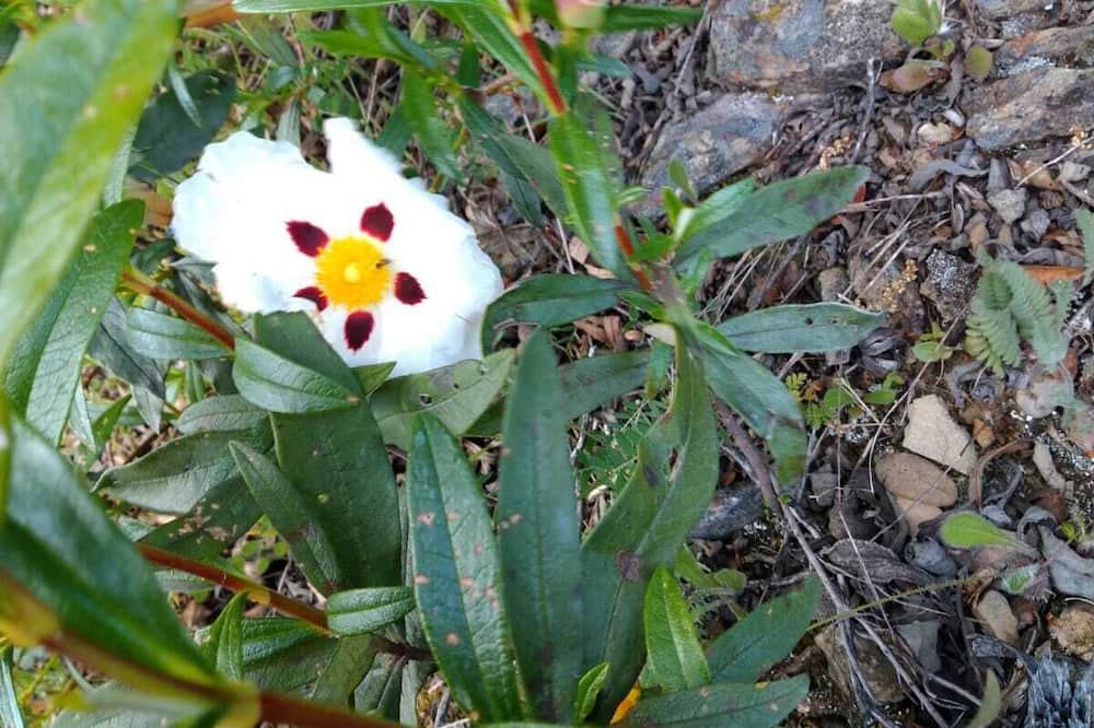 Photo of Outdoor in Malpartida de Plasencia