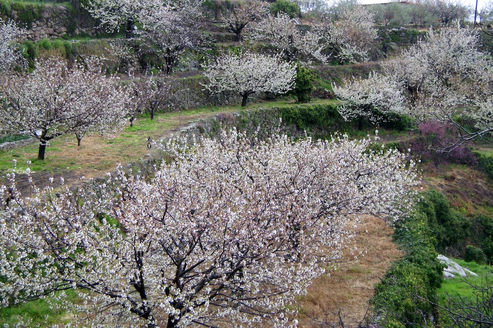 Photo of Outdoor in Malpartida de Plasencia