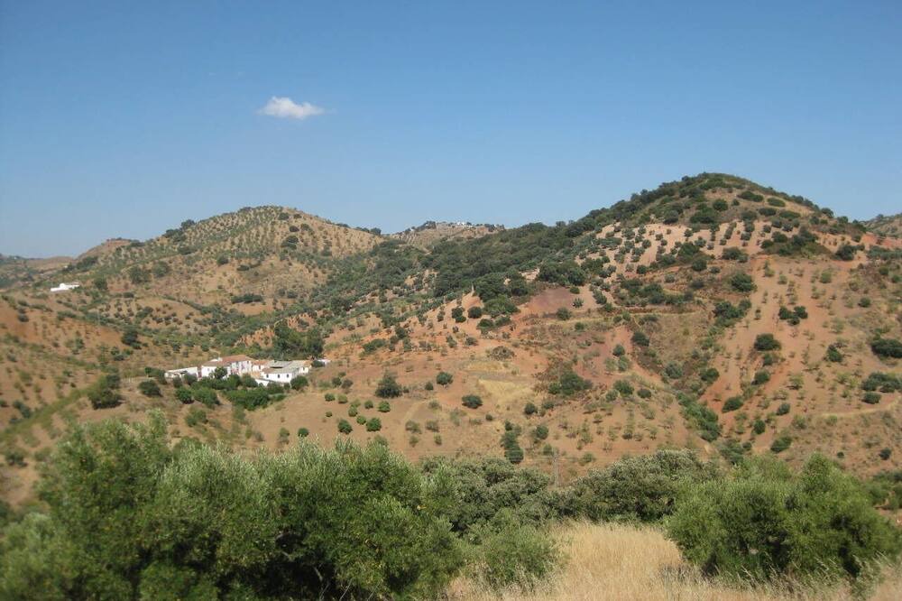 Photo of Others in Almogia