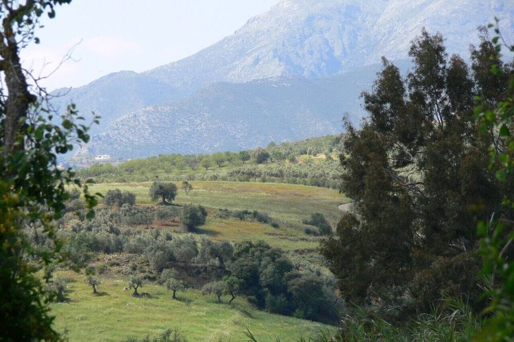 Photo of Others in Guaro