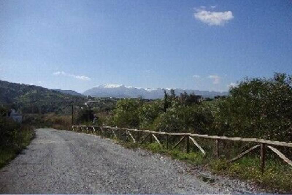 Photo of Others in Guaro