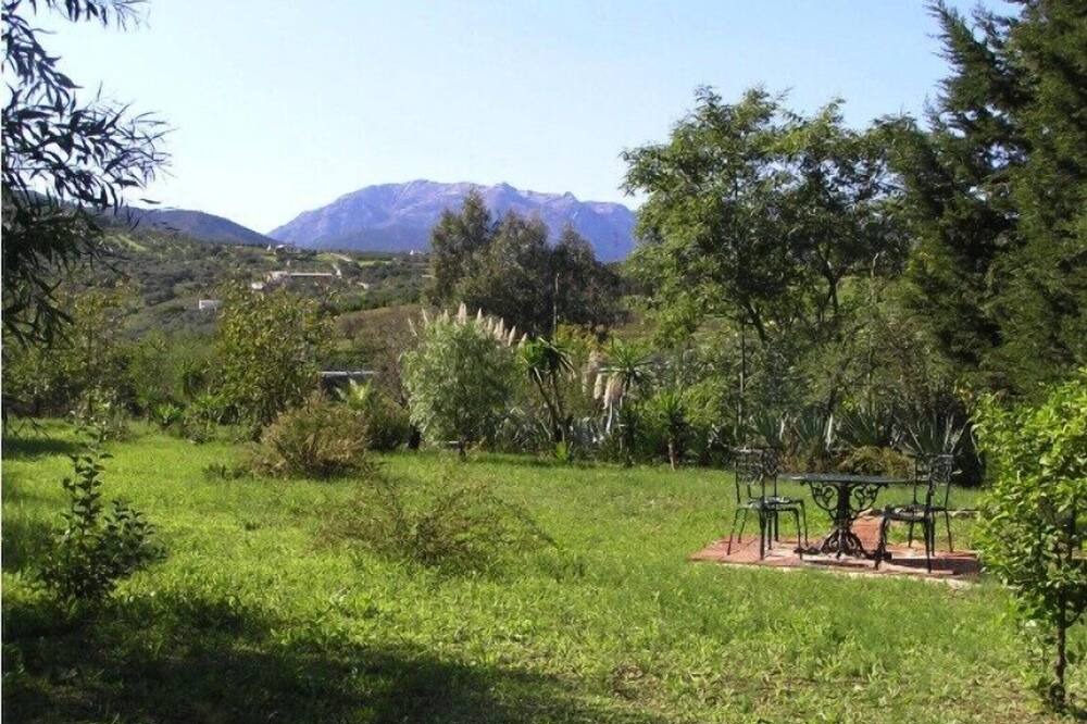 Photo of Outdoor in Guaro