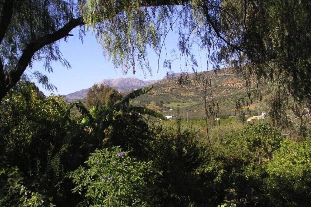Photo of Others in Guaro