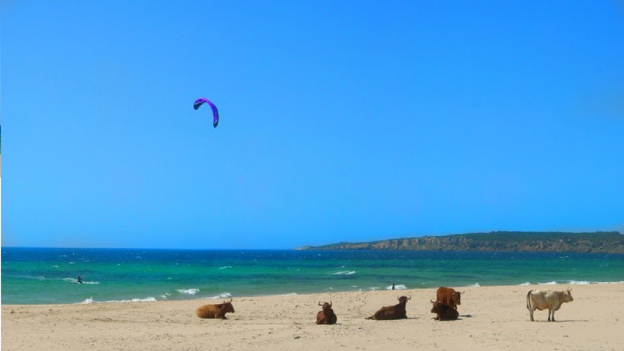 Photo of Others in Bolonia
