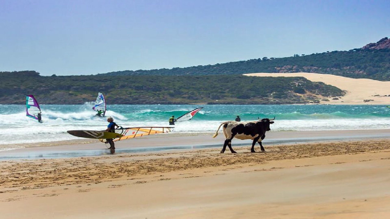 Photo of Others in Bolonia