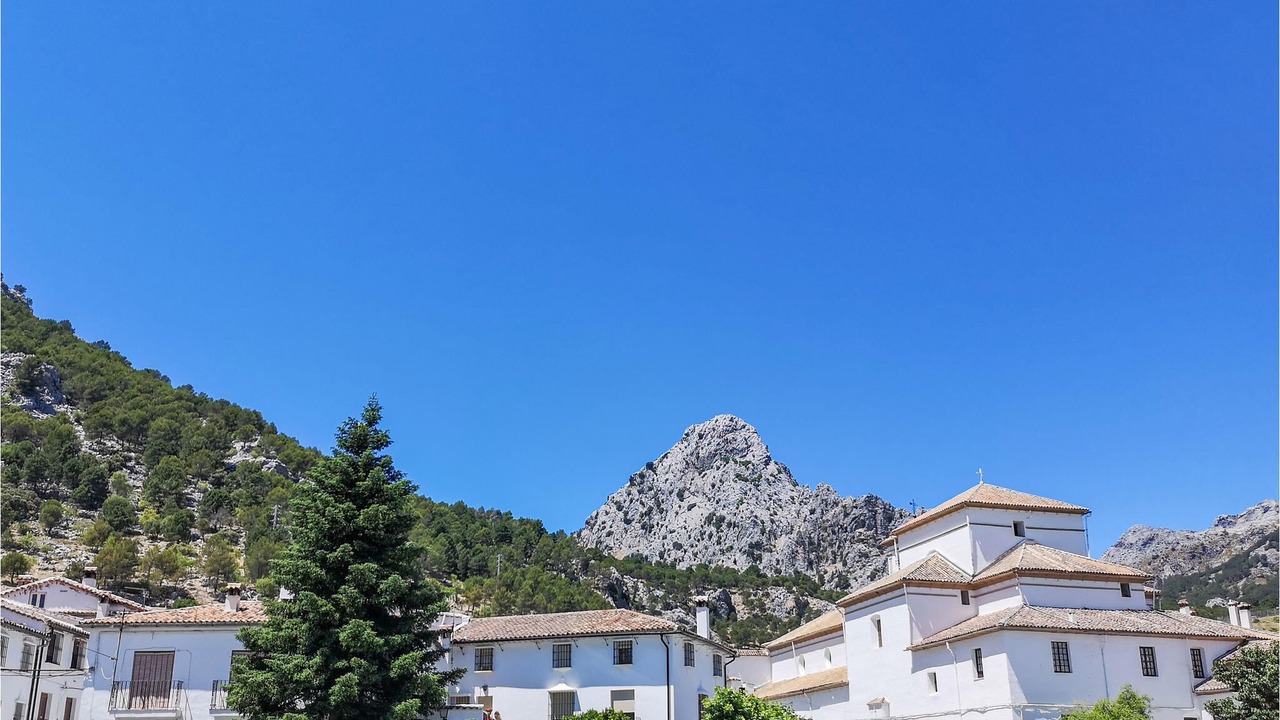 Photo of Outdoor in El Bosque