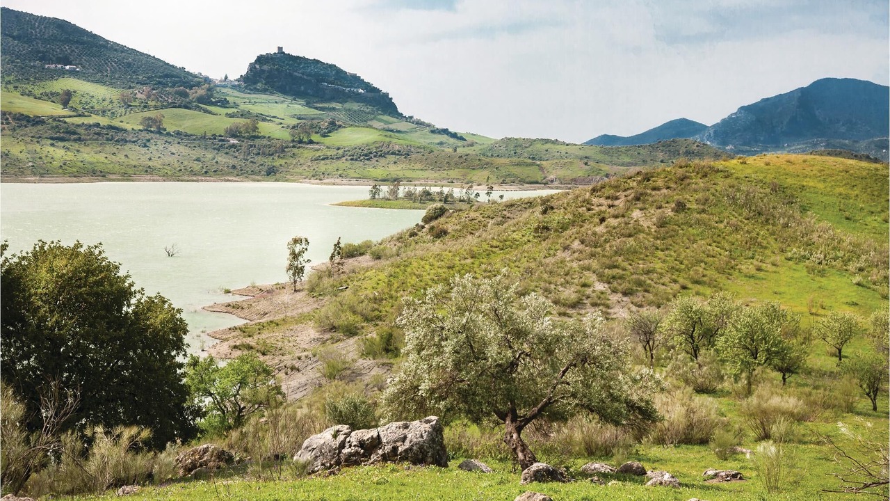 Photo of Outdoor in El Bosque